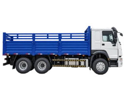 Cargo Trucks for sale